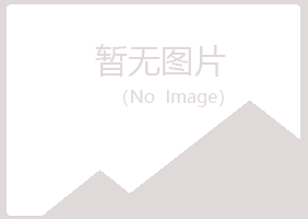 重庆巴南白山律师有限公司